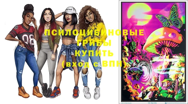 прущая мука Богородицк