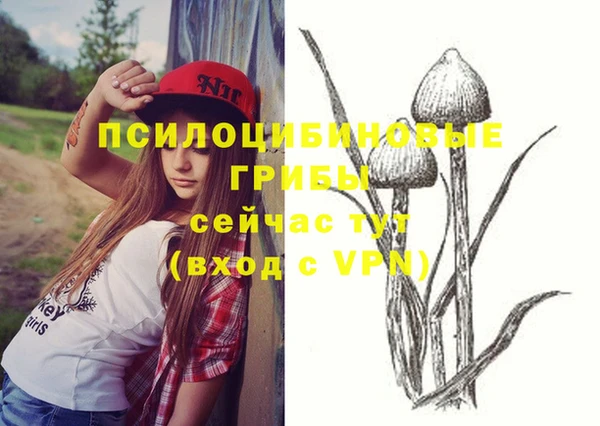 кристаллы Богданович