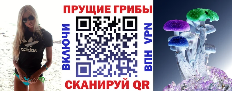 Псилоцибиновые грибы GOLDEN TEACHER где продают наркотики Великий Новгород