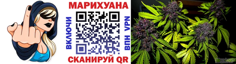 Конопля планчик  Великий Новгород 